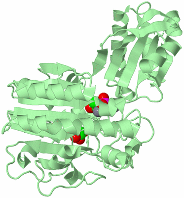 Image Biological Unit 2