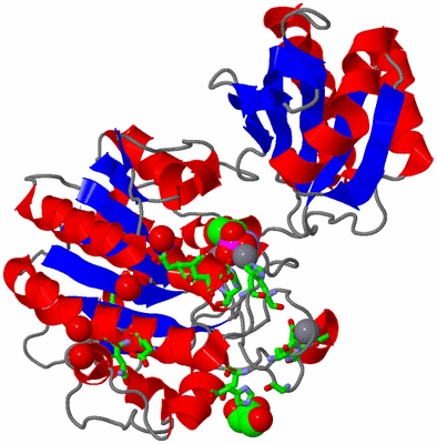 Image Asym./Biol. Unit - sites