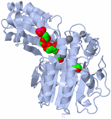 Image Biological Unit 1