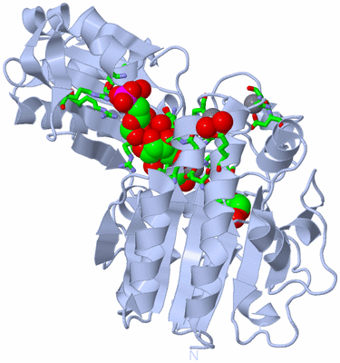 Image Biol. Unit 1 - sites