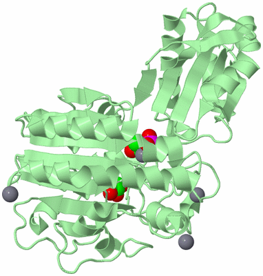 Image Biological Unit 2