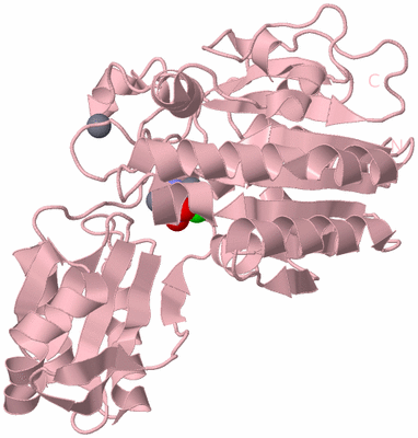 Image Biological Unit 3