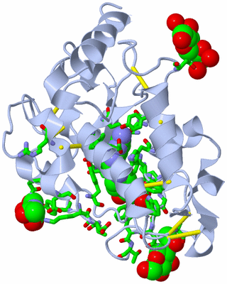 Image Biol. Unit 1 - sites