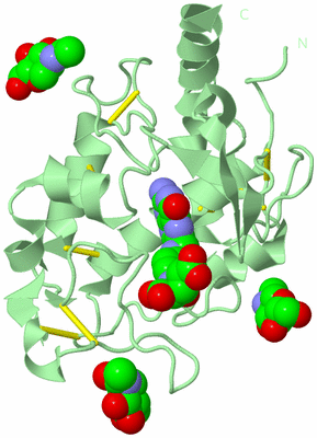 Image Biological Unit 2