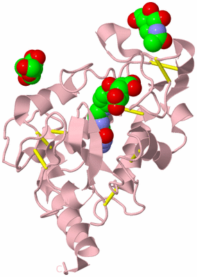 Image Biological Unit 3