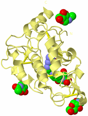 Image Biological Unit 4