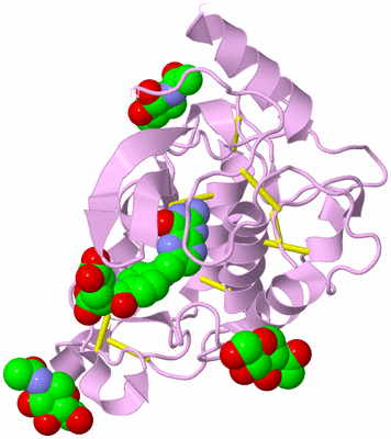 Image Biological Unit 5