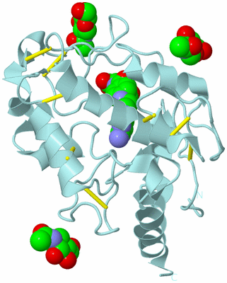 Image Biological Unit 6