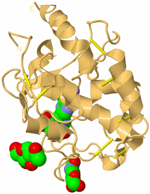 Image Biological Unit 7