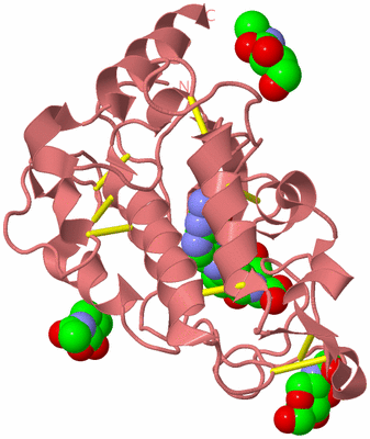 Image Biological Unit 8