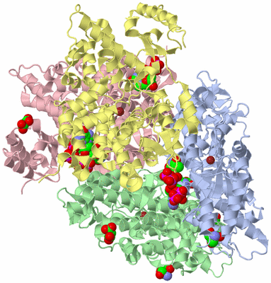 Image Biological Unit 1