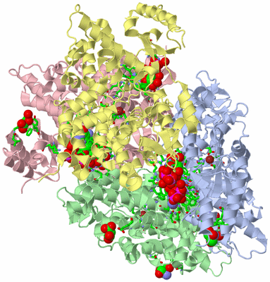 Image Biol. Unit 1 - sites