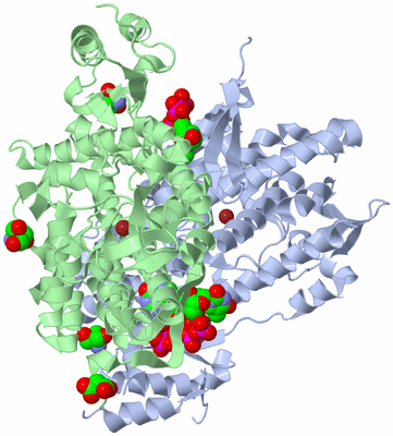 Image Biological Unit 2