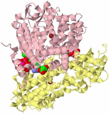 Image Biological Unit 3