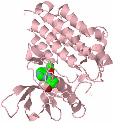 Image Biological Unit 3