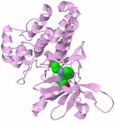 Image Biological Unit 5