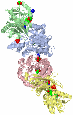 Image Asym./Biol. Unit