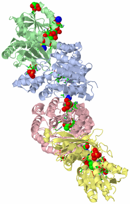 Image Asym./Biol. Unit - sites