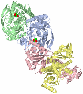 Image Asym./Biol. Unit