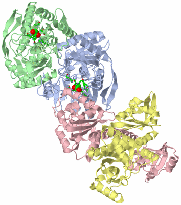 Image Asym./Biol. Unit - sites