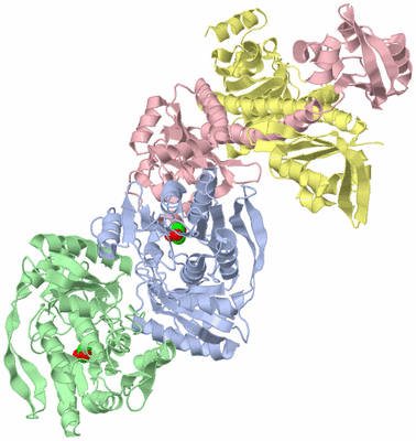 Image Asym./Biol. Unit