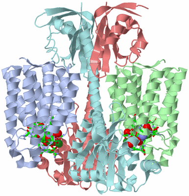 Image Biol. Unit 1 - sites