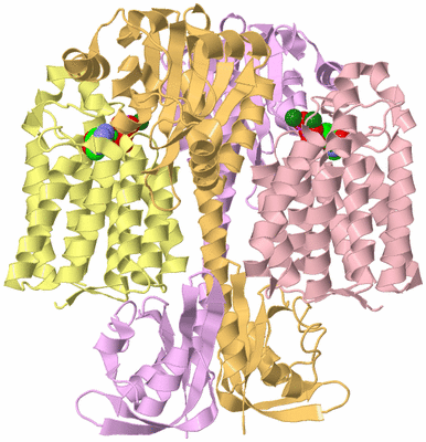 Image Biological Unit 2