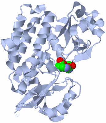 Image Biological Unit 1