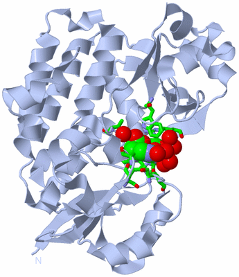 Image Biol. Unit 1 - sites