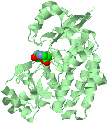 Image Biological Unit 2