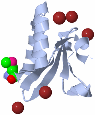 Image Biological Unit 1