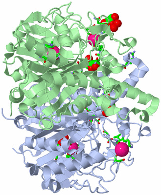 Image Asym./Biol. Unit - sites