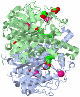 Image Asym./Biol. Unit