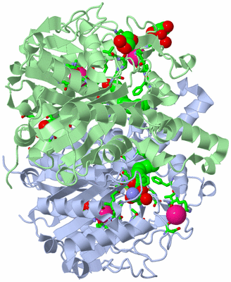 Image Asym./Biol. Unit - sites