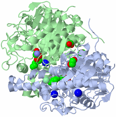 Image Asym./Biol. Unit