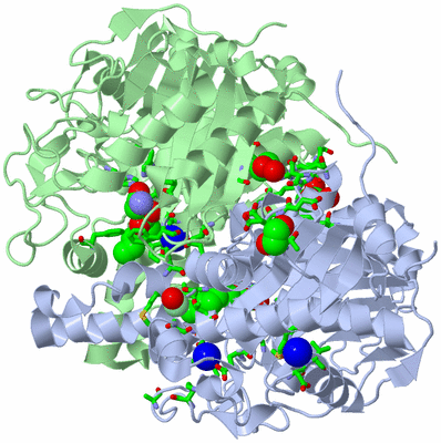 Image Asym./Biol. Unit - sites