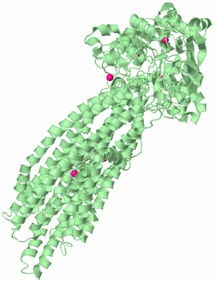 Image Biological Unit 2