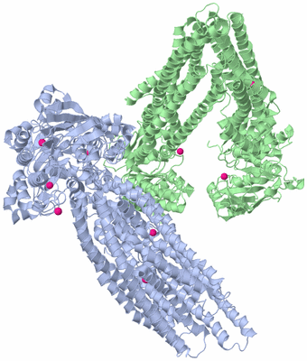 Image Biological Unit 3