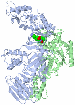 Image Asym./Biol. Unit