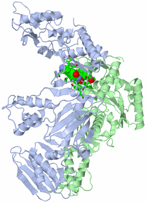 Image Asym./Biol. Unit - sites