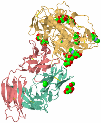 Image Asym./Biol. Unit