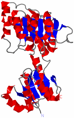 Image Asymmetric Unit