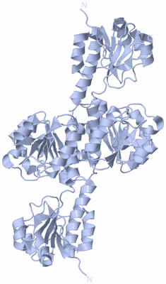Image Biological Unit 2