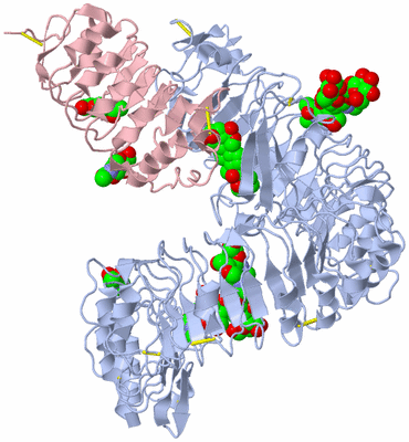 Image Biological Unit 1