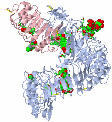 Image Biol. Unit 1 - sites