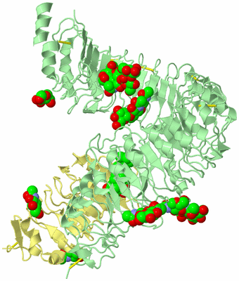 Image Biological Unit 2