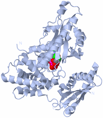 Image Biological Unit 1