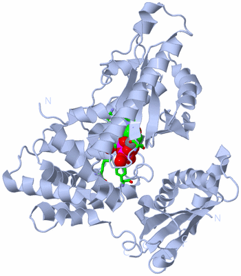 Image Biol. Unit 1 - sites