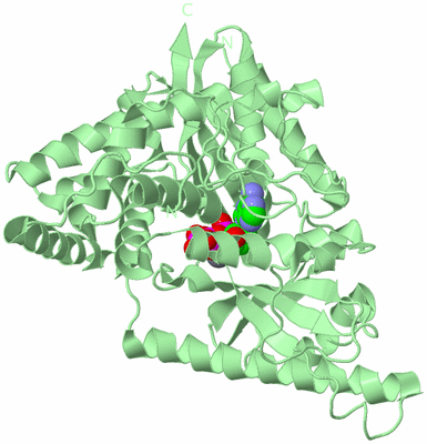 Image Biological Unit 2