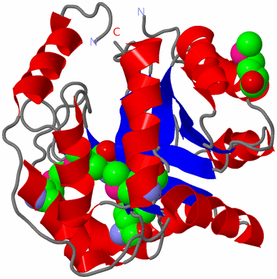 Image Asym./Biol. Unit